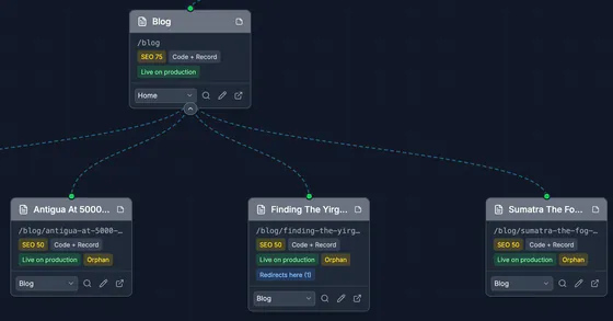 The Blog page and its three posts in the SEO tree: each card shows its address, SEO score (75 for Blog, 50 for each post), Code + Record, Live on production, Orphan and, on one post, 'Redirects here (1)'.