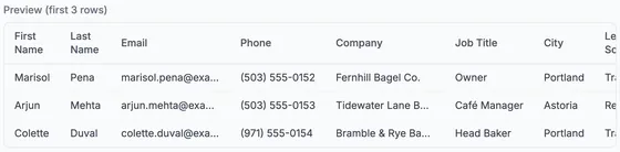 Preview of the first three CSV rows: Marisol Pena of Fernhill Bagel Co., Arjun Mehta of Tidewater Lane Books and Colette Duval of Bramble & Rye Bakery, with example.com emails and 555 numbers.