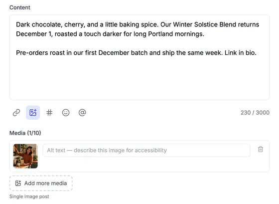 The Edit Post form: the caption with a 230 of 3000 character count, link, media, hashtag, emoji and mention tools, and the attached picture with an alt-text field.