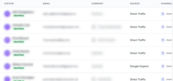 Visitor rows marked Identified, with source (direct traffic, Google organic) and the number of channels; names, emails and companies blurred.