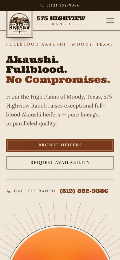 Mobile view of the 575 Highview Ranch homepage.