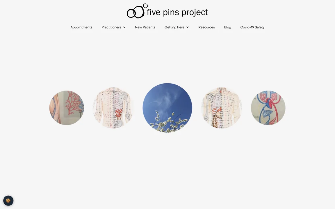 Five Pins Project homepage with the five pins project logo, a menu of Appointments, Practitioners, New Patients, Getting Here, Resources, Blog and Covid-19 Safety, and a row of five round images of acupuncture charts and blossoms.